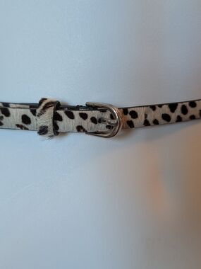 Ann Taylor Leopard Print Skinny Belt with Silver Buckle - Black & Cream